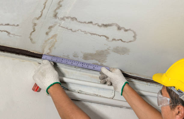 Reliable Mold Remediation contractor in Redwood City, CA by Local Water Damage Repair